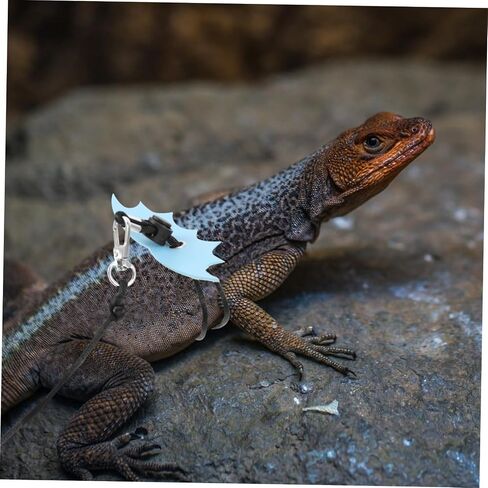 Adjustable Outdoor Reptile Leash Harness for Small Lizards Bearded Dragons Gecko Comfortable Sling Design Secure Strap Blue in Saudi Arabia