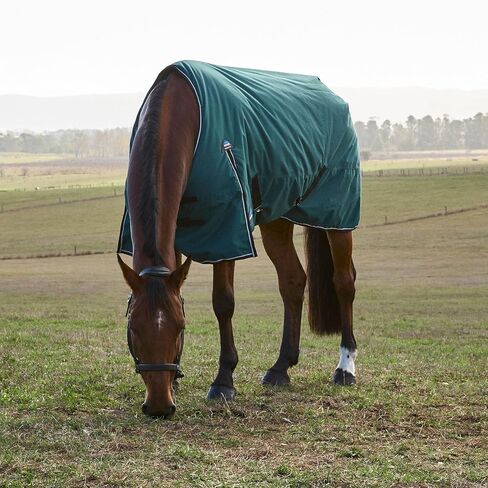 WeatherBeeta ComFiTec Classic Turnout 0 جرام، أخضر غابة/أسود، 78 بوصة in Saudi Arabia