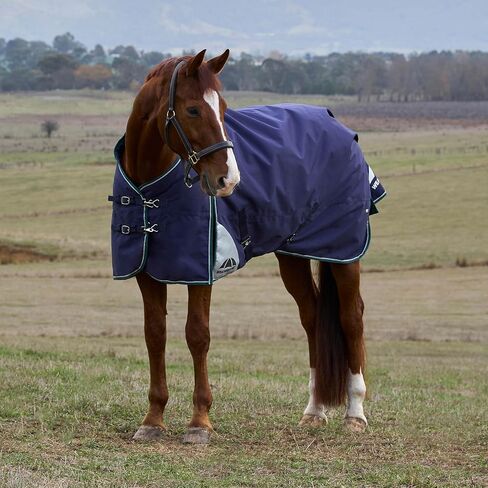 WeatherBeeta ComFiTec Plus Dynamic Turnout 100g, Navy/Forest Green, 75" in Saudi Arabia