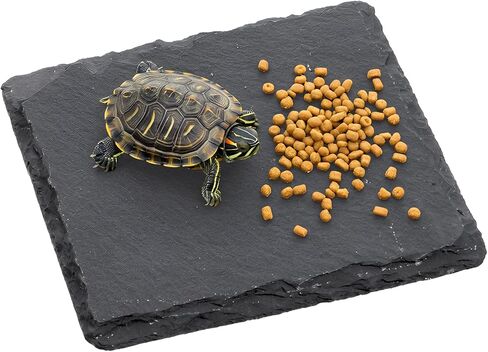 لوح للسلحفاة 3.9 × 3.9 بوصة منصة تشمس السلحفاة حجر الفرح للزواحف ملحقات التنين الملتحي للسحالي والحرباء والأبراص والسلاحف والزواحف in Kuwait