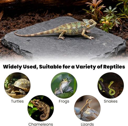 لوح للسلحفاة 3.9 × 3.9 بوصة منصة تشمس السلحفاة حجر الفرح للزواحف ملحقات التنين الملتحي للسحالي والحرباء والأبراص والسلاحف والزواحف in Kuwait