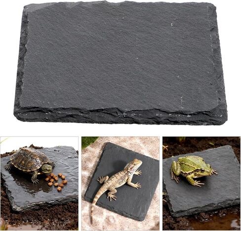 لوح للسلحفاة 3.9 × 3.9 بوصة منصة تشمس السلحفاة حجر الفرح للزواحف ملحقات التنين الملتحي للسحالي والحرباء والأبراص والسلاحف والزواحف in Kuwait
