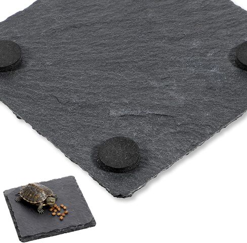 لوح للسلحفاة 3.9 × 3.9 بوصة منصة تشمس السلحفاة حجر الفرح للزواحف ملحقات التنين الملتحي للسحالي والحرباء والأبراص والسلاحف والزواحف in Kuwait