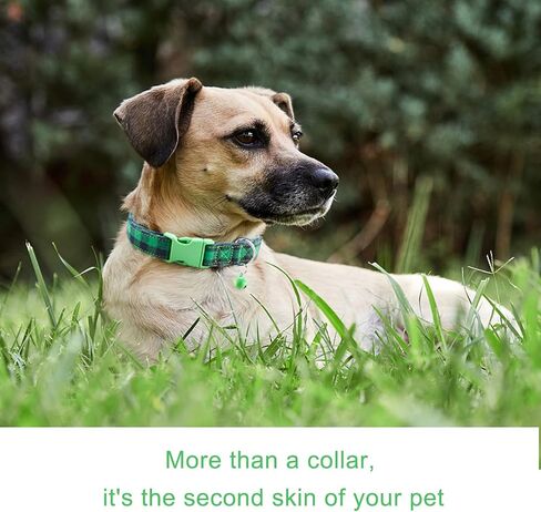 Cute Plaid Dog Collar with Safety Buckle - Adjustable and Comfortable Dog Collars for Small Medium Large Dogs, Stylish Puppy Collar for Boy Girl Pets in Kuwait