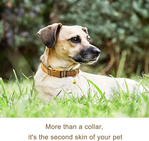 Cute Plaid Dog Collar with Safety Buckle - Adjustable and Comfortable Dog Collars for Small Medium Large Dogs, Stylish Puppy Collar for Boy Girl Pets in Kuwait