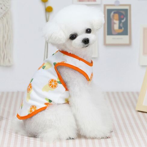 Pet Fruit Printed Puppy Clothes,Cute Pet Clothes Summer Thin Section in Saudi Arabia