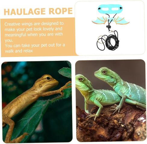 5Pcs Adjustable Reptile Harness and Leash with Wing Design for Bearded Dragon and Lizard and Escape-Resistant Outdoor Walking Gear for Geckos and Small Pets in Saudi Arabia