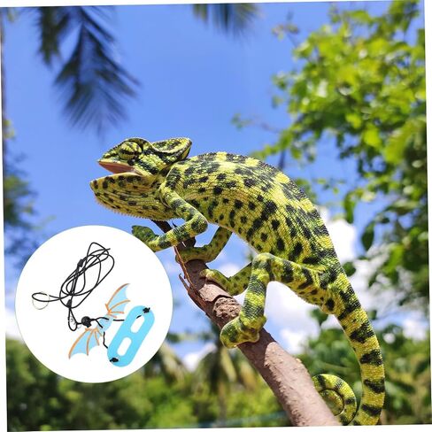 5Pcs Adjustable Reptile Harness and Leash with Wing Design for Bearded Dragon and Lizard and Escape-Resistant Outdoor Walking Gear for Geckos and Small Pets in Saudi Arabia