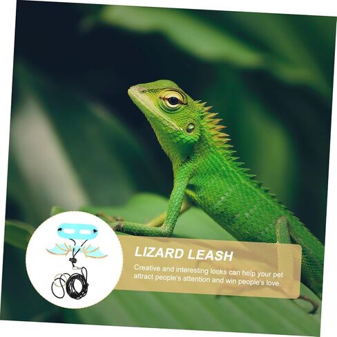 5Pcs Adjustable Reptile Harness and Leash with Wing Design for Bearded Dragon and Lizard and Escape-Resistant Outdoor Walking Gear for Geckos and Small Pets in Saudi Arabia