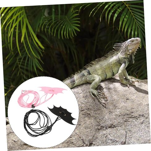 Generic 2 Sets Bearded Dragon Leash Small Pet Reptile Traction Rope for Squirrels and Lizards Premium with Easy to Wear and Stylish Wing Design Secure Outdoor Walking Harness in Saudi Arabia