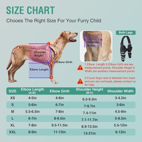 Dog Lift Harness for Extra Large Dogs, Hind Leg Support, Adjustable, Easy to Use, Black, XL in Saudi Arabia
