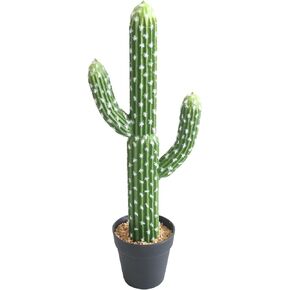momoplant Artificial Cactus Succulent Plant, 24 Inch Faux Fake Desert Cacti Plant with Black Planter for Home Garden Office Floor Decor in Saudi Arabia