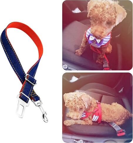 Reflective Dog Harness with Adjustable Leash Set, Comfortable for Outdoor Walking and Hiking, No-Pull Design for Safety in Saudi Arabia