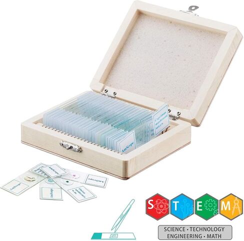 AmScope - M40-PS25W IQCREW من مجهر ممتاز للأطفال مكون من 85+ قطعة وكاميرا ملونة ومجموعة برامج تفاعلية للأطفال مع مجموعة شرائح احترافية مُجهزة مكونة من 25 قطعة in Saudi Arabia