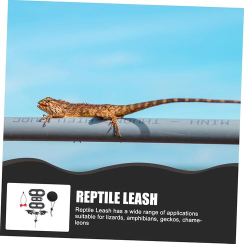 VICASKY Adjustable Lizard Harness Leash with Birthday Hat Portable Reptile Walking Leash for Bearded Dragon Comfortable Outdoor Pet Harness Cosplay Costume Kit in Saudi Arabia