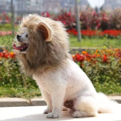 Lion-Shaped Pet Headwear Pet Hat - Adorable and Comfortable for Cats, Medium Size Neck Circumference 12.6 inchs in Saudi Arabia