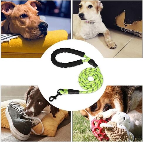 Dog Basic Collars Strong Dog Leash, Leash with Comfortable Padded Handle and Highly Reflective Large and Medium Dog pet Accessories(B) in Saudi Arabia