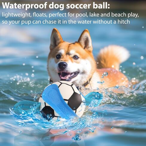 Dog Toys Balls, Interactive Dog Soccer Ball with Pull Straps, Bouncing Water Toy, Durable Training Toy for Small Medium Pets, Puppy Toy for Indoor Outdoor Play in Saudi Arabia