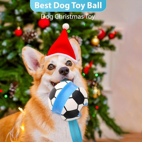 Dog Toys Balls, Interactive Dog Soccer Ball with Pull Straps, Bouncing Water Toy, Durable Training Toy for Small Medium Pets, Puppy Toy for Indoor Outdoor Play in Saudi Arabia