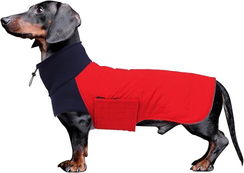 سترة معاطف للكلاب من Dachshund تناسب الكلاب الألمانية Dachshunds Corgi Weiner معطف شتوي قابل للعكس مبطن بالقطن وبطانة عالية الياقة للكلاب في خريف وشتاء - أحمر - S in Kuwait