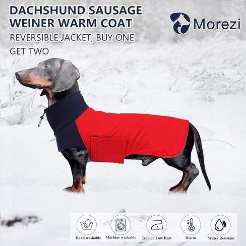 سترة معاطف للكلاب من Dachshund تناسب الكلاب الألمانية Dachshunds Corgi Weiner معطف شتوي قابل للعكس مبطن بالقطن وبطانة عالية الياقة للكلاب في خريف وشتاء - أحمر - S in Kuwait