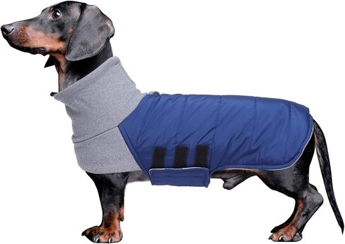 سترة معاطف للكلاب من Dachshund تناسب الكلاب الألمانية Dachshunds Corgi Weiner معطف شتوي قابل للعكس مبطن بالقطن وبطانة عالية الياقة للكلاب في خريف وشتاء - أحمر - S in Kuwait