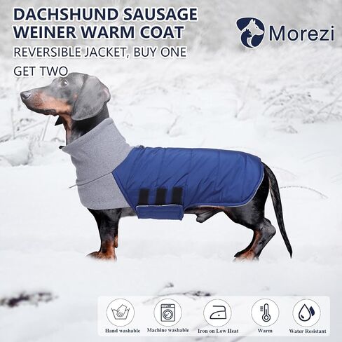 سترة معاطف للكلاب من Dachshund تناسب الكلاب الألمانية Dachshunds Corgi Weiner معطف شتوي قابل للعكس مبطن بالقطن وبطانة عالية الياقة للكلاب في خريف وشتاء - أحمر - S in Kuwait