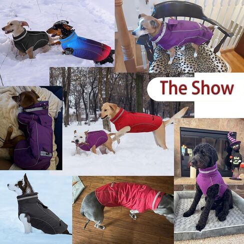 PETDSH Waterproof Dog Coat, Turtleneck Warm Dog Jacket, Dogs Winter Coat with Pocket and Trash Bags, Reflective Puppy Jacket for Winter and Snow (Black,2XL) in Saudi Arabia