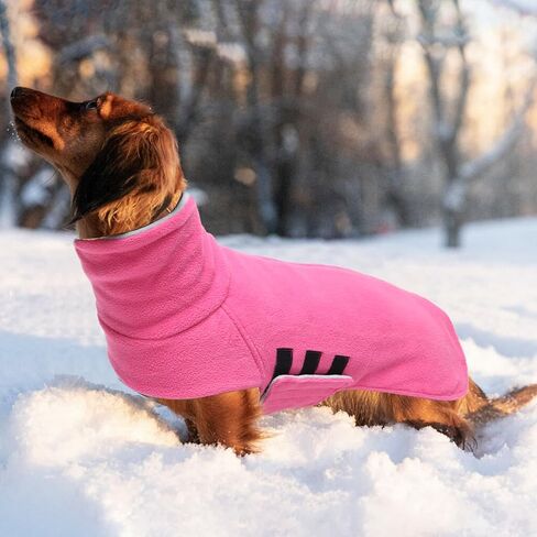Geyecete Dachshund Clothes Dachshund Coat,Dachshund Winter Coat,Dachshund Jacket for Dogs Warm Windproof,High Neckine String Holes Miniature-Red-M in Saudi Arabia