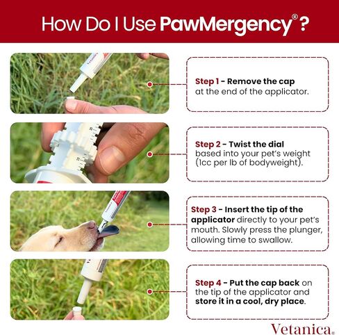 Pawmergency - طقم الإسعافات الأولية في الفحم المنشط للكلاب والقطط ومجموعة تسمم الجرو والحيوانات الأليفة ، وعلاج البقاء على قيد الحياة في التخييم ، معجون هضمي مضاد للإسهال عن طريق الفم جاهز لامتصاص السموم in Kuwait