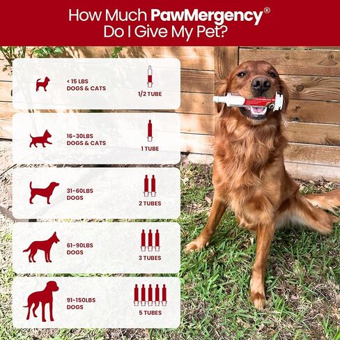 Pawmergency - طقم الإسعافات الأولية في الفحم المنشط للكلاب والقطط ومجموعة تسمم الجرو والحيوانات الأليفة ، وعلاج البقاء على قيد الحياة في التخييم ، معجون هضمي مضاد للإسهال عن طريق الفم جاهز لامتصاص السموم in Kuwait