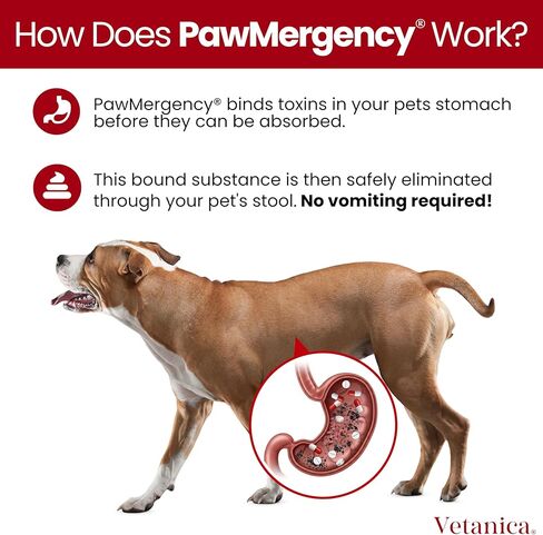 Pawmergency - طقم الإسعافات الأولية في الفحم المنشط للكلاب والقطط ومجموعة تسمم الجرو والحيوانات الأليفة ، وعلاج البقاء على قيد الحياة في التخييم ، معجون هضمي مضاد للإسهال عن طريق الفم جاهز لامتصاص السموم in Kuwait