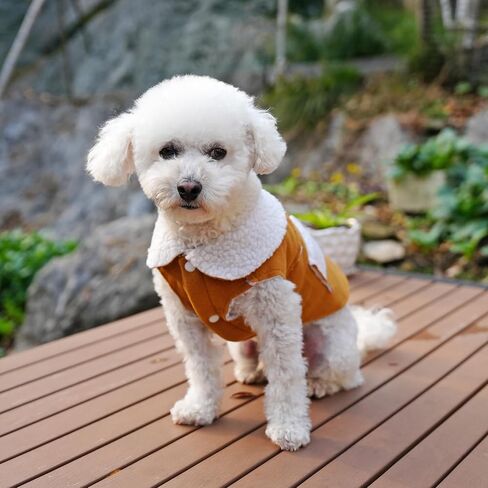 French Bulldog Clothes Frenchie Clothes, Snaps Closure Dog Winter Coat Jacket for Small Medium Dogs, Fleece Warm Dog Sweaters for Small Dogs Boy Girl,Beige,M in Saudi Arabia