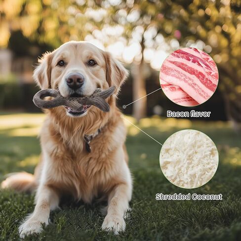 Gardner Pet Antler Dog Chew Toy, Long Lasting Interactive Dog Toys Add Shredded Coconut Nylon+TPR, Teeth Cleaning and Training Toy for Medium/Large Breed,Bacon Flavor in Saudi Arabia