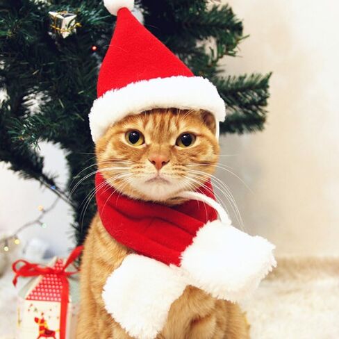2PCS Cat Christmas Costume Set, Santa Hat with Adjustable Tie & Scarf Outfit, Festive Holiday Outfit for Puppy Kitten Christmas Parties & Photos, Medium in Saudi Arabia
