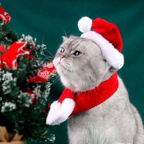 2PCS Cat Christmas Costume Set, Santa Hat with Adjustable Tie & Scarf Outfit, Festive Holiday Outfit for Puppy Kitten Christmas Parties & Photos, Medium in Saudi Arabia