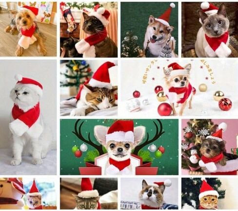 2PCS Cat Christmas Costume Set, Santa Hat with Adjustable Tie & Scarf Outfit, Festive Holiday Outfit for Puppy Kitten Christmas Parties & Photos, Medium in Saudi Arabia