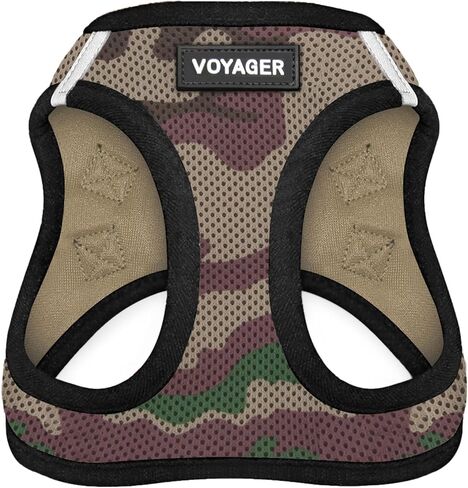 أفضل أدوات الحيوانات الأليفة Voyager Step-in Air Harness - شبكة لجميع الأحوال الجوية، عاكسة للضوء، لا يوجد حزام سحب للكلاب والقطط - آمن مع مشبك وحلقة تثبيت، إبزيم، حلقات مزدوجة على شكل حرف D - فوشيا بلونين، مقاس M in Kuwait