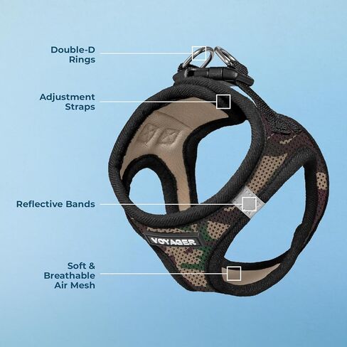 أفضل أدوات الحيوانات الأليفة Voyager Step-in Air Harness - شبكة لجميع الأحوال الجوية، عاكسة للضوء، لا يوجد حزام سحب للكلاب والقطط - آمن مع مشبك وحلقة تثبيت، إبزيم، حلقات مزدوجة على شكل حرف D - فوشيا بلونين، مقاس M in Kuwait