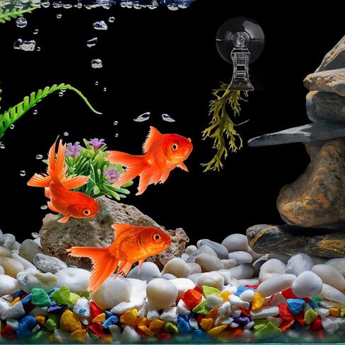 Aquarium Plant Clip - Suction Cup Clips for Convenient Fish Feeding | Rust-Proof Material, Secure Hold, Water-Safe Accessories (4) in Saudi Arabia