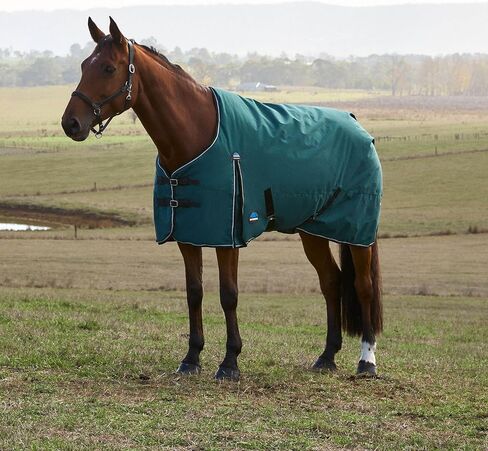 WeatherBeeta ComFiTec Classic Turnout 220g, Forest Green/Black, 84" in Saudi Arabia