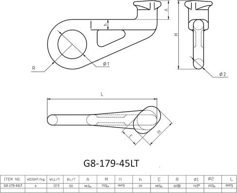 Mytee Products 2 Left & 2 Right 45 Degree G80 SEA Shipping Container Lifting Hook, Shipping, Cargo, Storage, Moving in Saudi Arabia