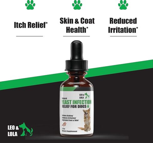 Natural Yeast Infection Treatment for Dogs : Supports Itching Relief, Allergy Relief, Irritation Relief & More : Itch Relief for Dogs : Dog Ear Infection Treatment : Dog Itch Relief : 1 oz in Saudi Arabia