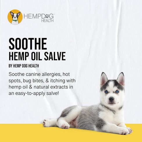 Soothe - Hemp Salve - Dog Allergy & Hot Spot Treatment - Natural Bug Bite Relief to Soothe Itchy Skin - Made with Human-Grade Ingredients for Your Canine in Saudi Arabia