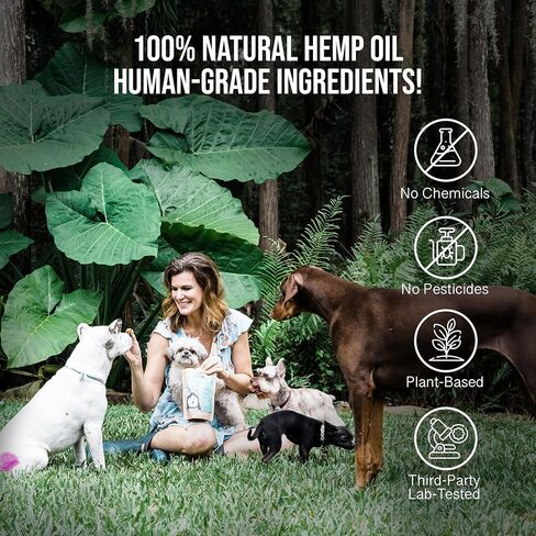 Soothe - Hemp Salve - Dog Allergy & Hot Spot Treatment - Natural Bug Bite Relief to Soothe Itchy Skin - Made with Human-Grade Ingredients for Your Canine in Saudi Arabia