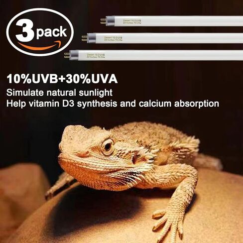 Celiwace 22 بوصة T5 10.0 UVB لمبة الزواحف الصحراوية UVB مصابيح 24 واط الزواحف UVB ضوء للزواحف الصحراوية السحالي التنين الملتحي 3 حزمة in Kuwait