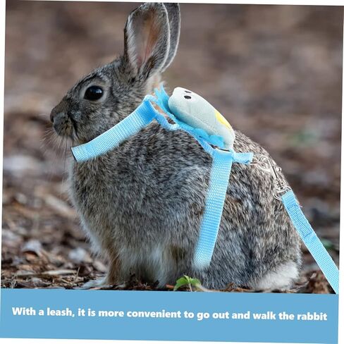 MARMERDO 1 مجموعة مقود أرنب جرو يسخر المقود النمس غينيا خنزير ازياء شينشيلا تسخير الهامستر سترة تسخير أرنب تسخير خنزير غينيا المقود السفر الصغيرة البوليستر دمية القط in Kuwait