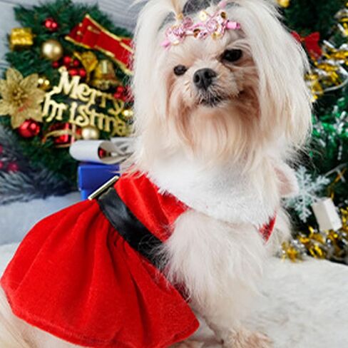 Dog Puppy Christmas Costume, Velvet Santa Claus Pet Clothes Winter Skirt Outfit for Small Medium Dogs Cats (Medium) in Saudi Arabia
