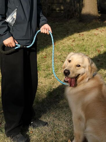 Dog Walking Leash, 1/2" x 6 FT (20~120 lbs), Heavy Duty, Reflective, 360° Swivel Buckle, Comfortable Foam Padded Handle, Resistant Climbing Rope for Small, Medium & Large Dogs, Pale Blue in Saudi Arabia