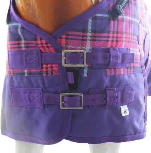 60" 1200D Miniature Weanling Donkey Pony Horse Foal Winter Blanket Purple 51971B in Saudi Arabia